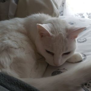 Meet your Posher, Jenn